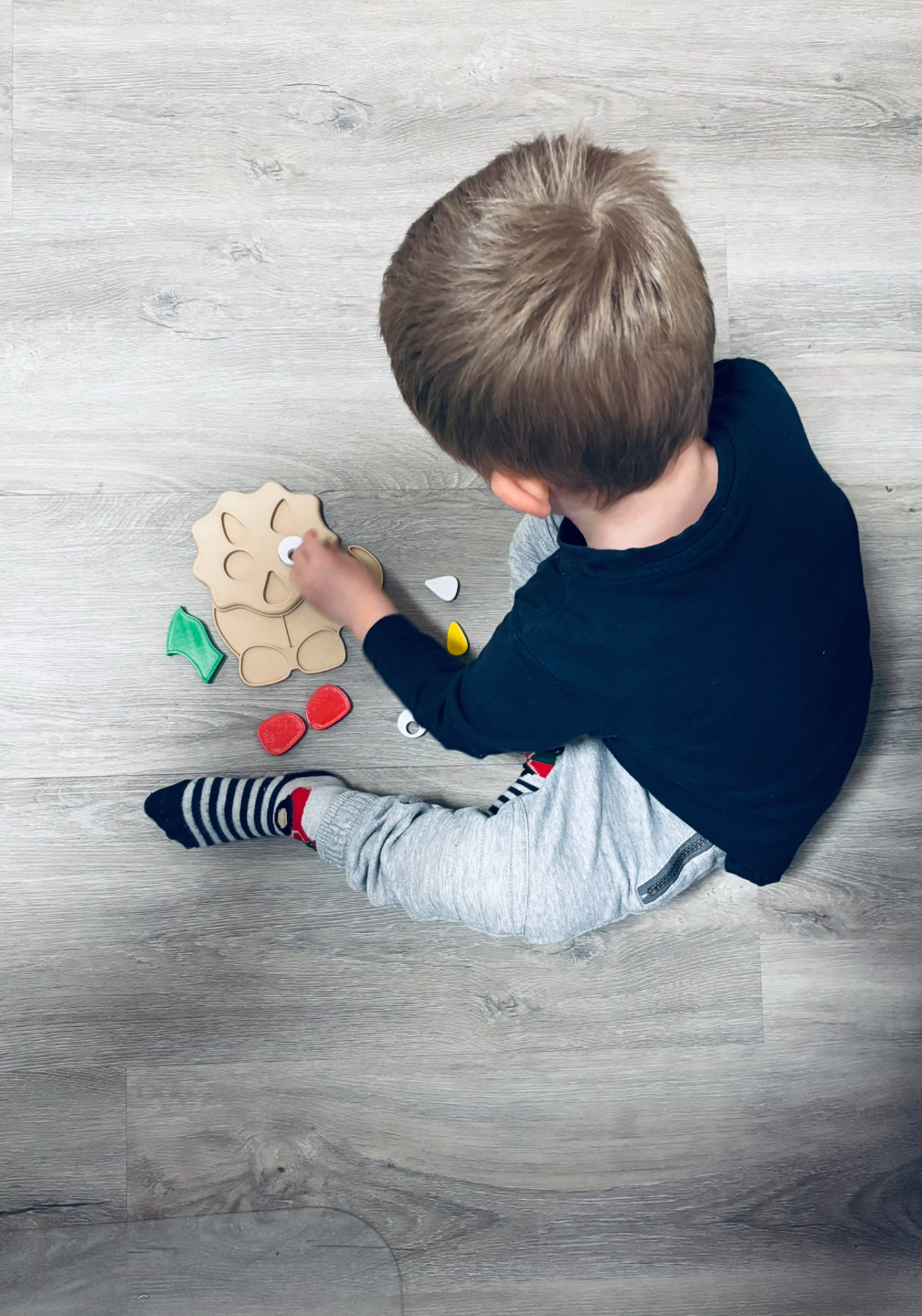 Education Dinosaur Blocks set for Kids