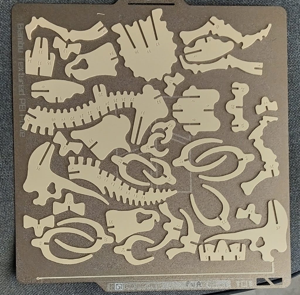Triceratops, numbered parts