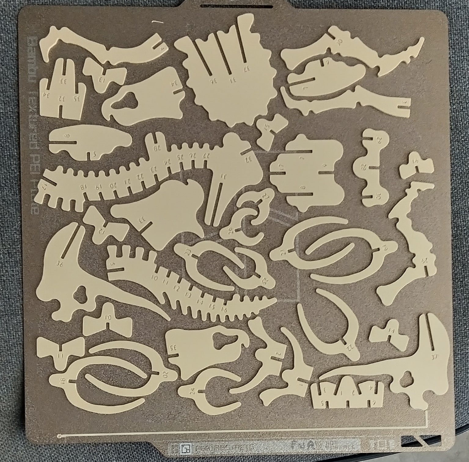 Triceratops, numbered parts