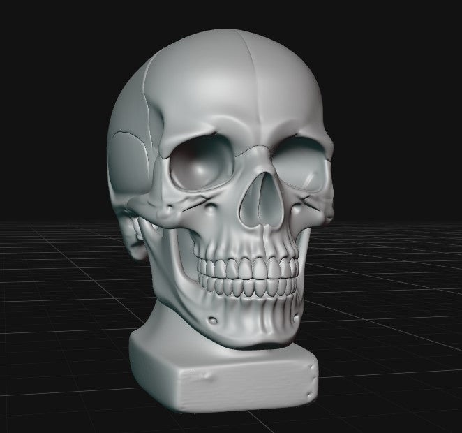 skull bust