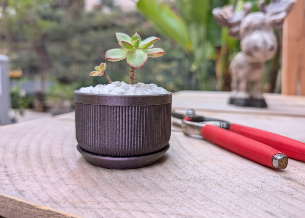 Mini Succulent Planter & Watering Can
