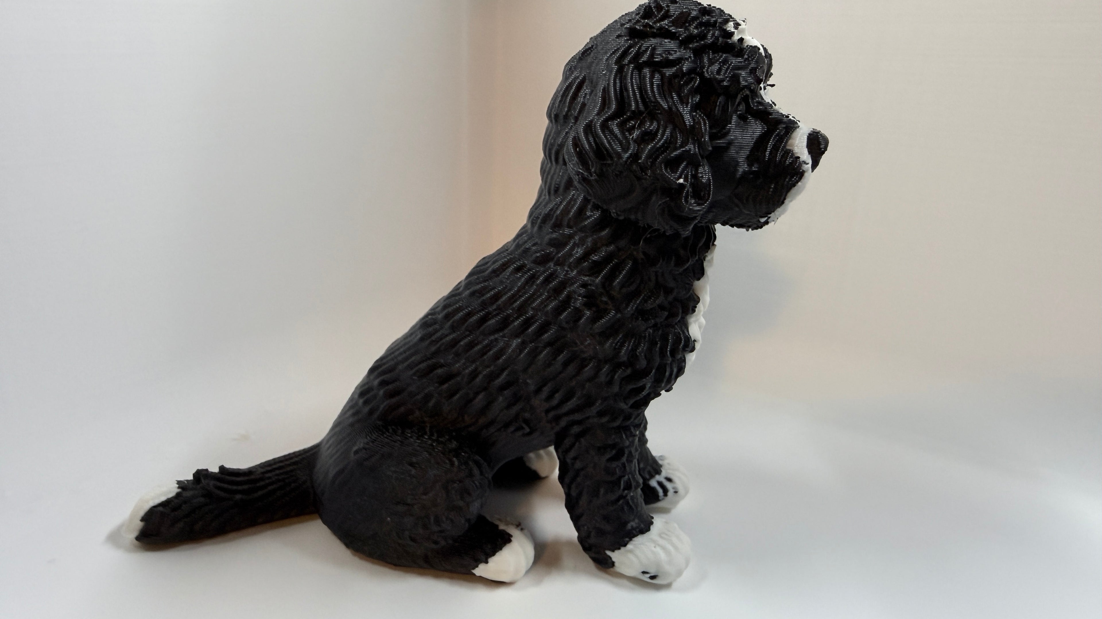 Cute Mini Bernedoodle Puppy – Easy 3D Print