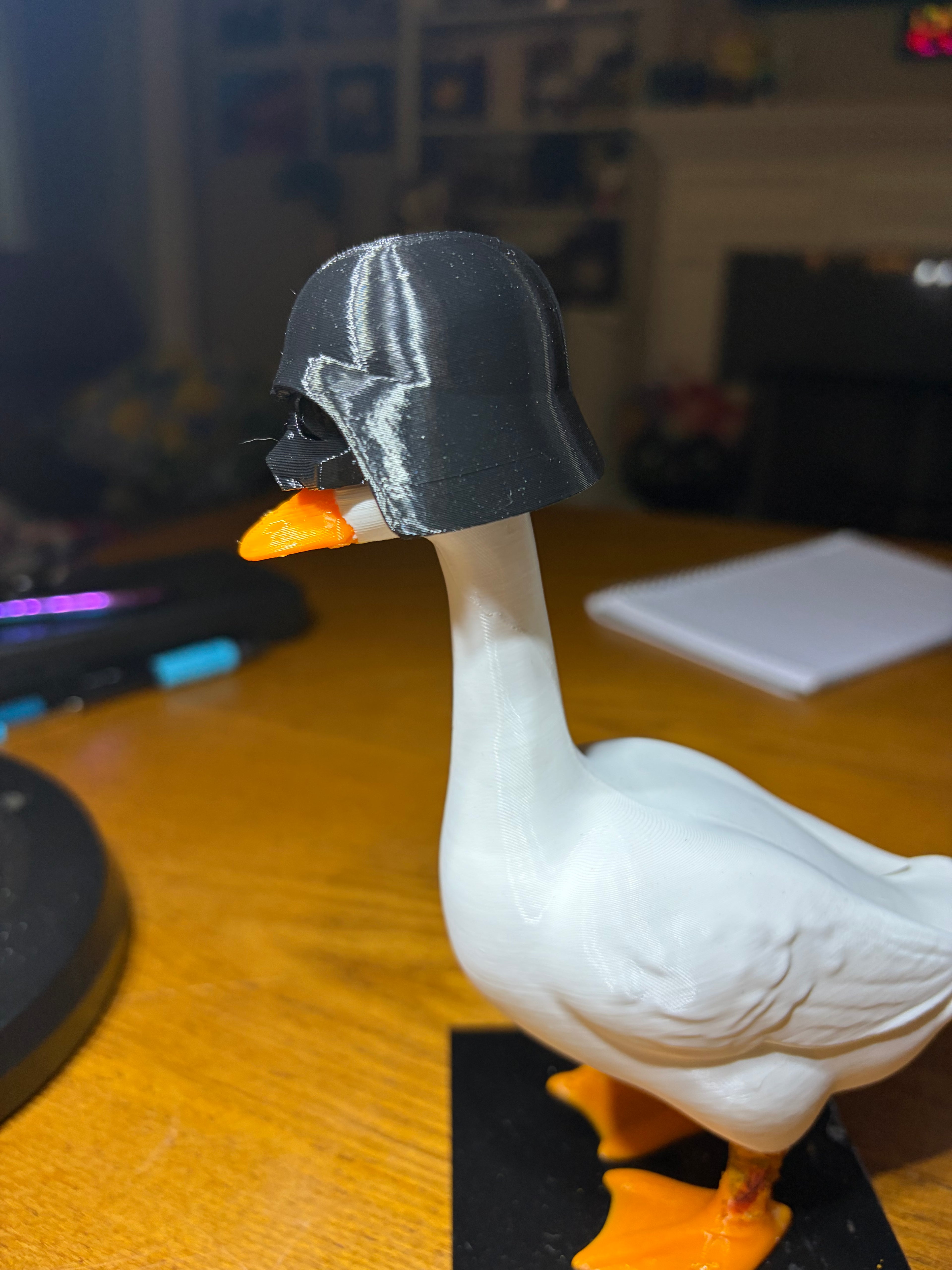 Helmet for Desk Goose