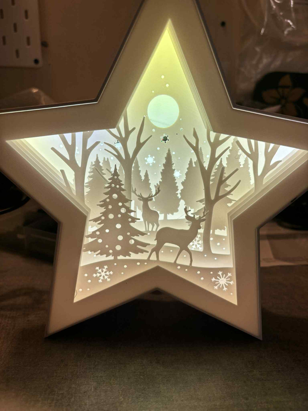Etoile noël