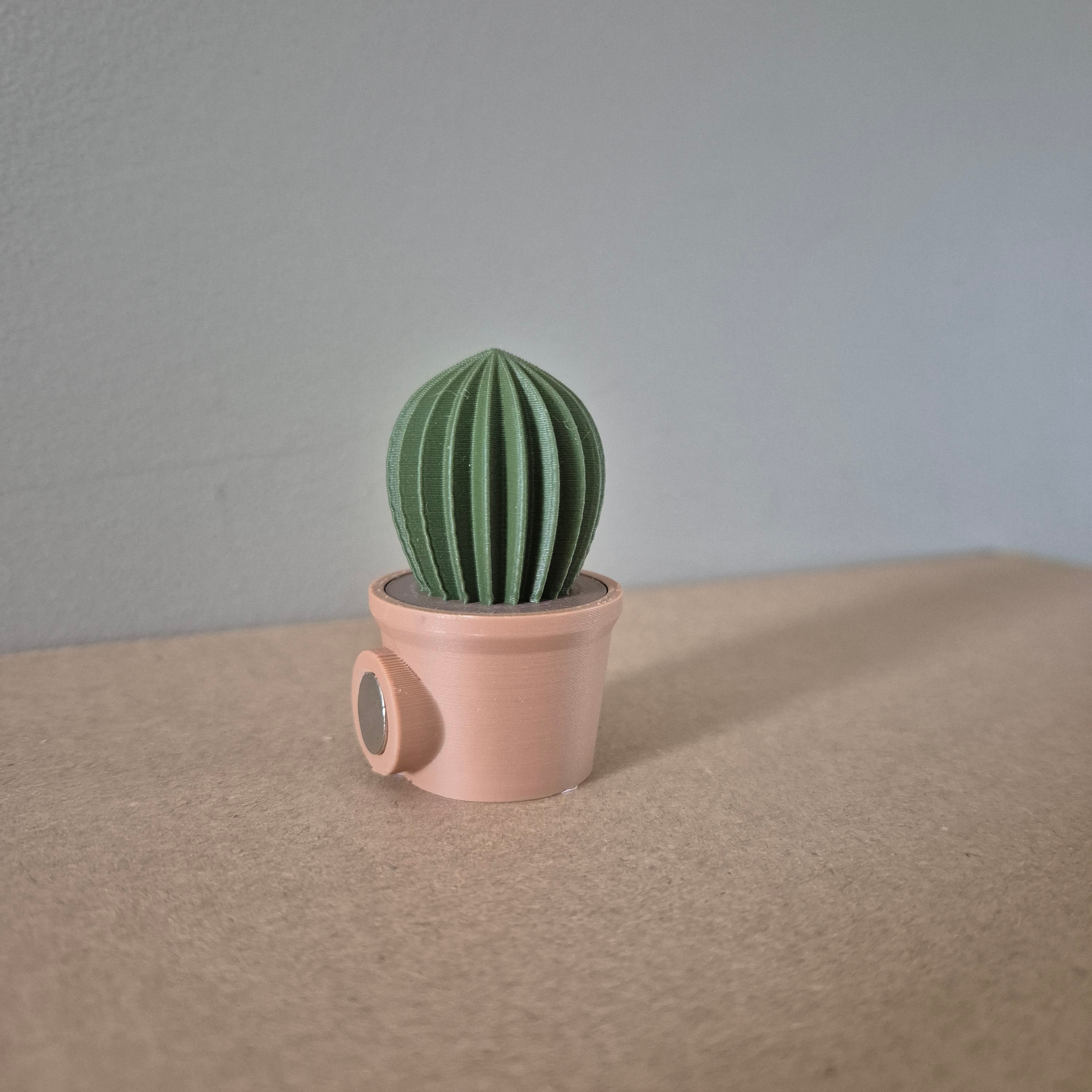 Magnetic Cactus - Fridge Plant - no AMS needed