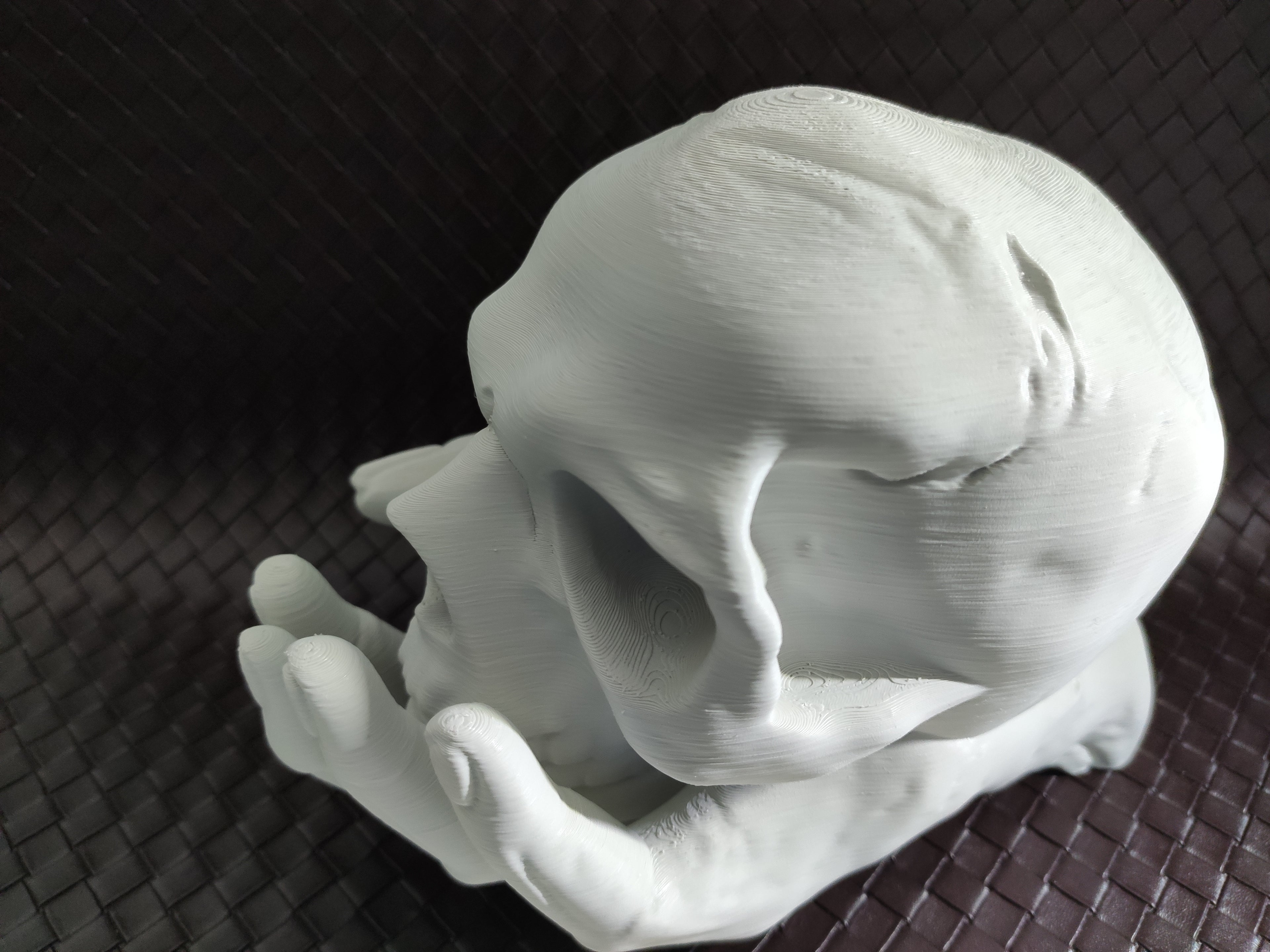 Skull in Hand - Coin bank / Piggy bank