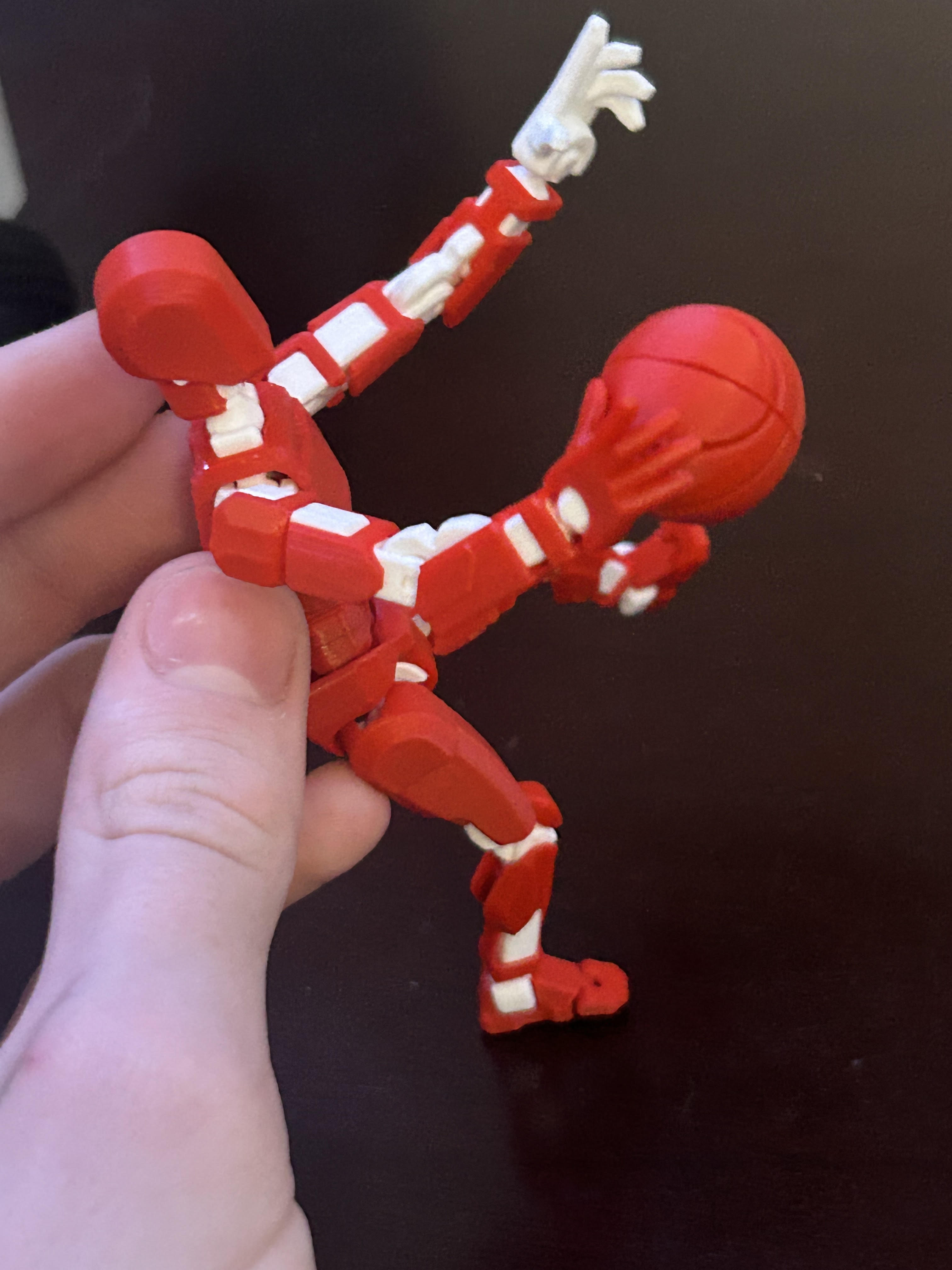 Dummy 13 basketball