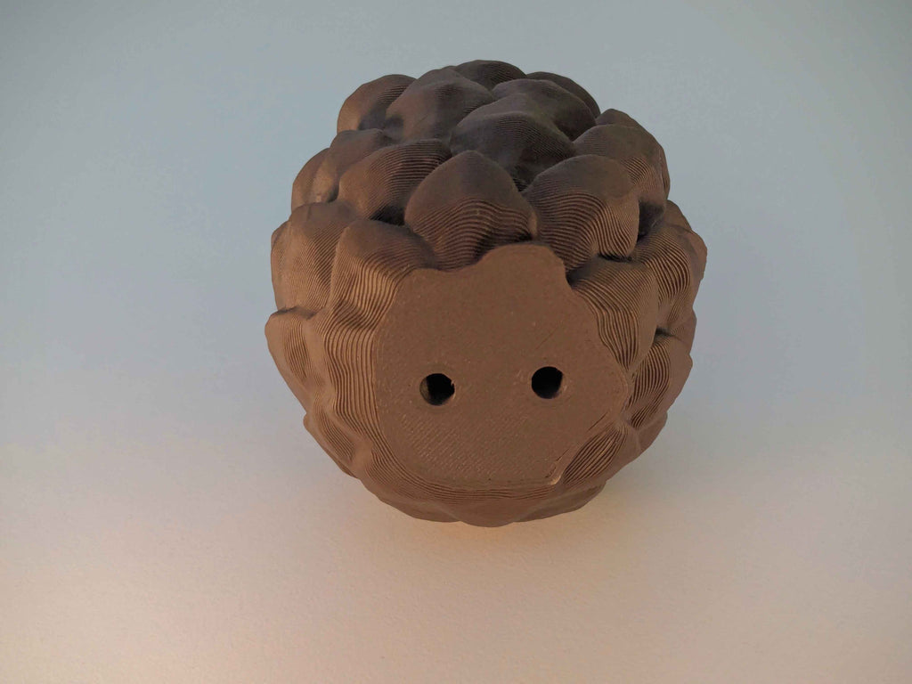 Secret Pinecone Container