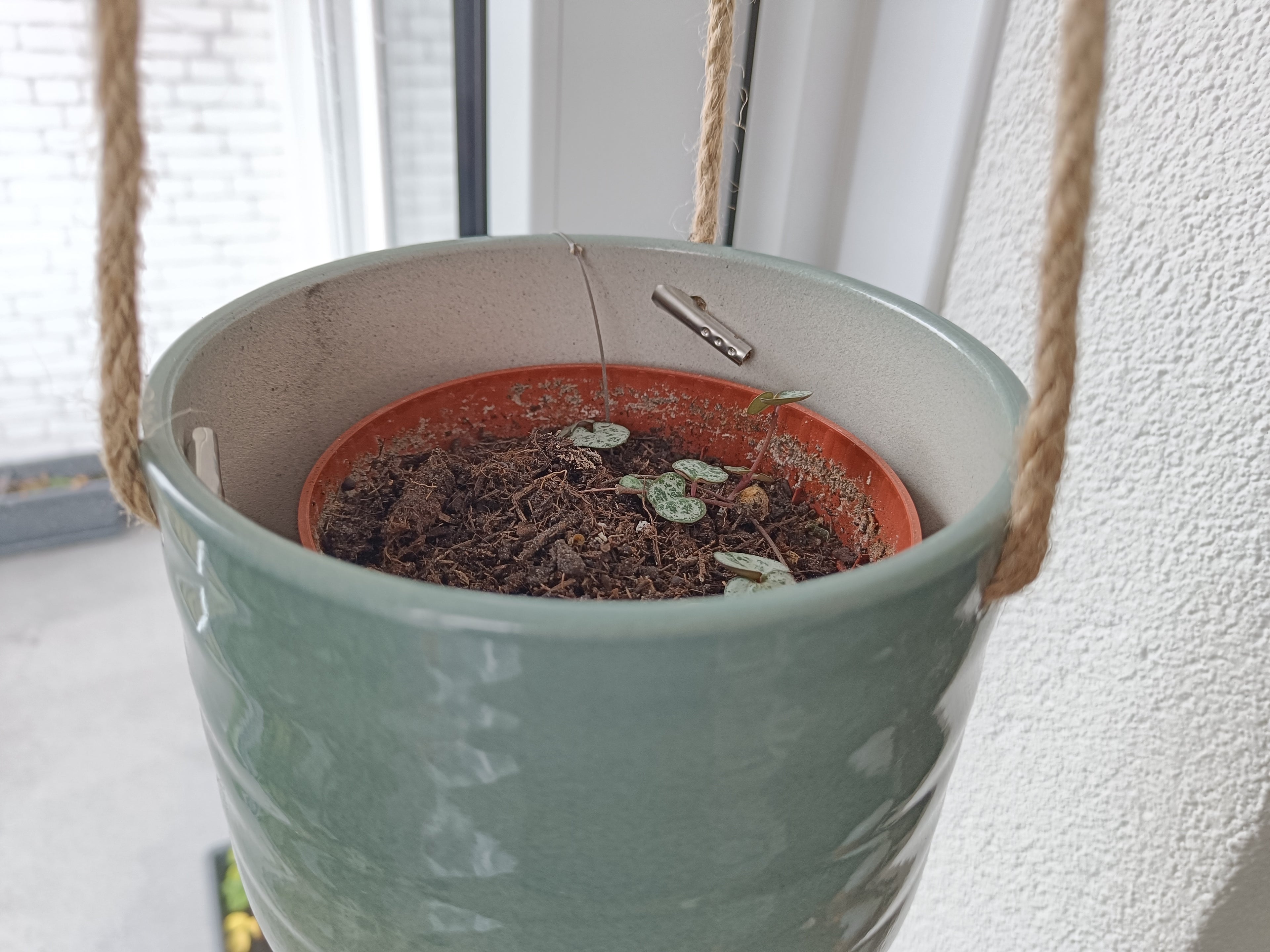 Plant pot riser drainage insert