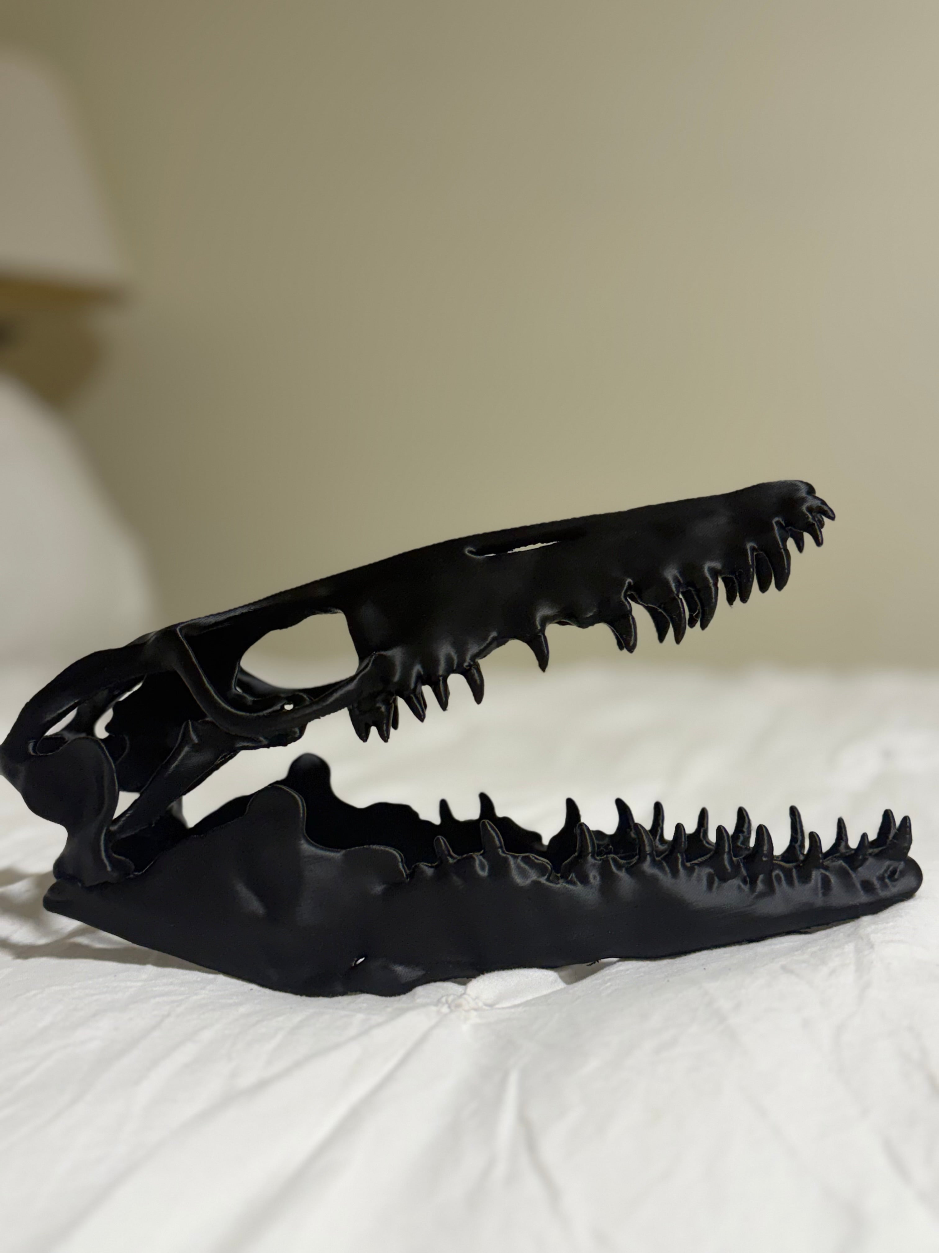 Mosasaurus Skull