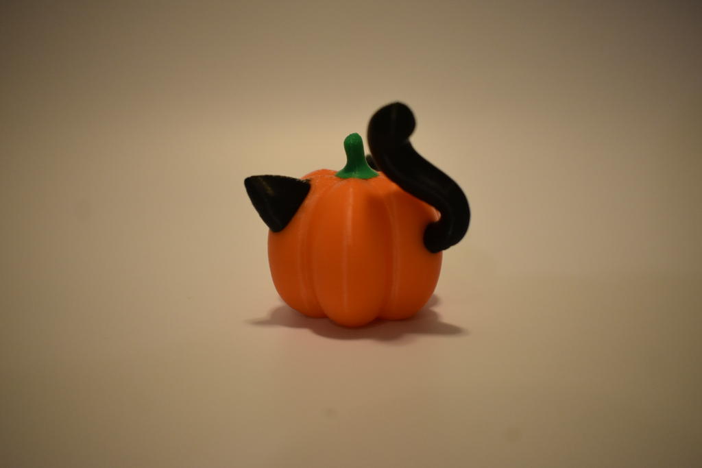 Pumpkitty and Pumpkin Pup! (Cute Pumpkin Cat & Dog)
