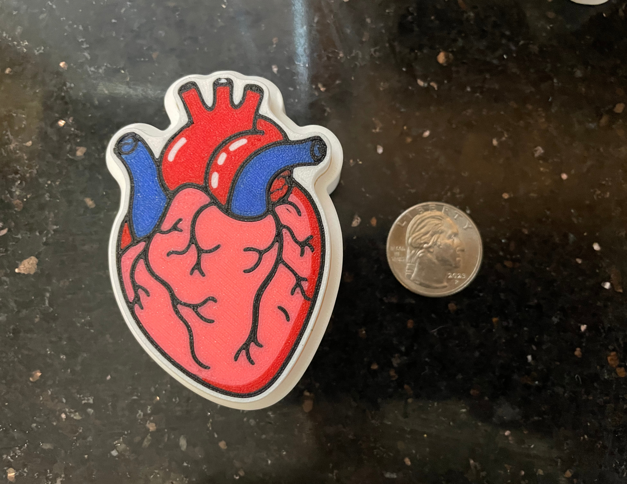 Anatomical Heart Clicker