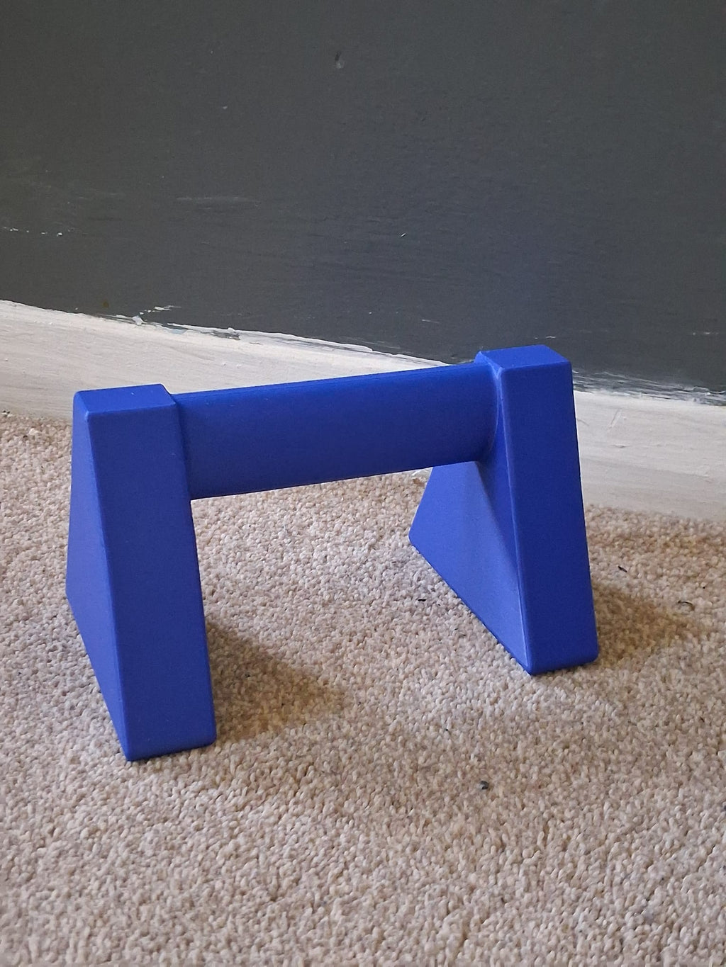Push up bars Home gym