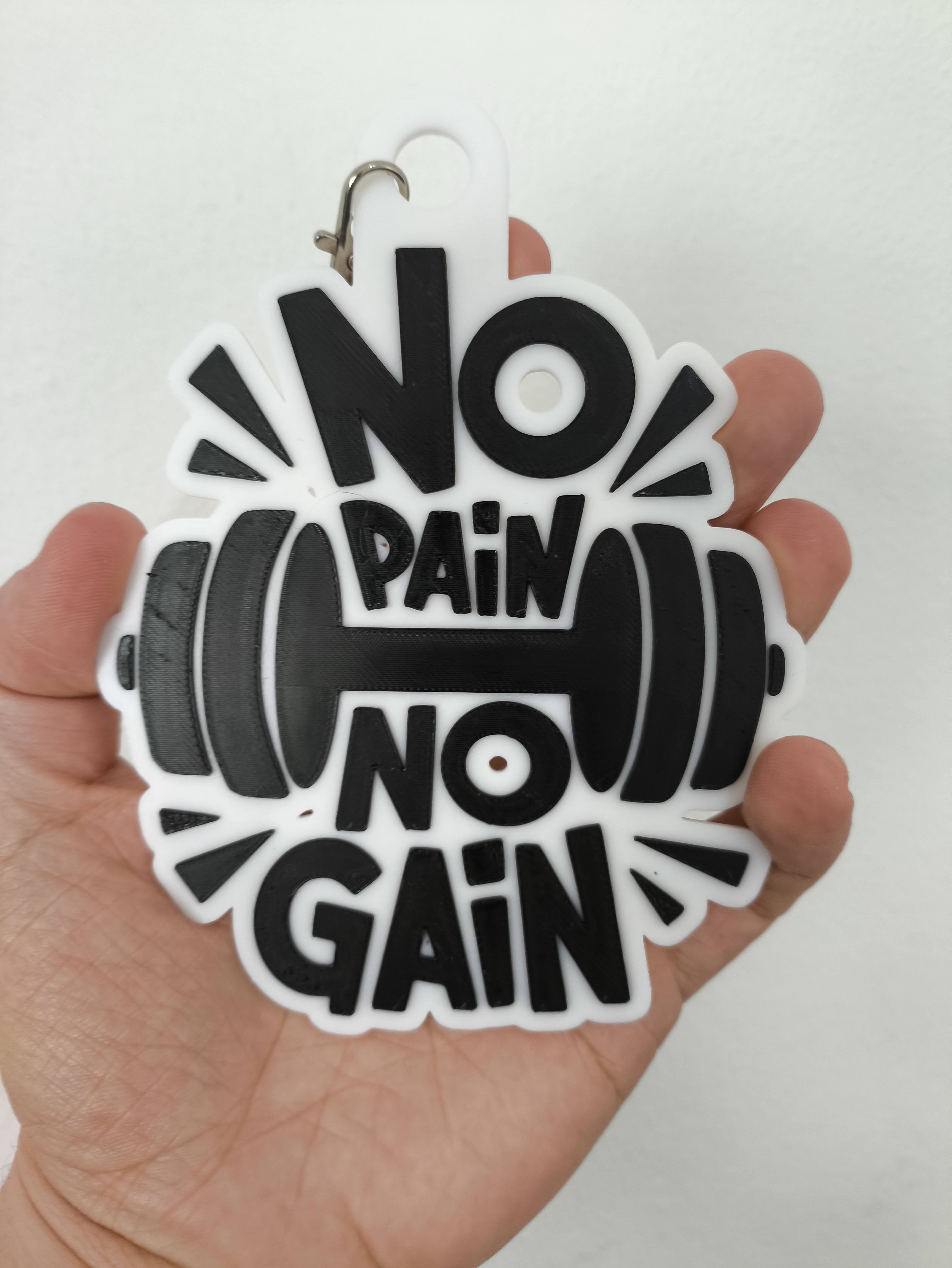 Keychain No pain no gain