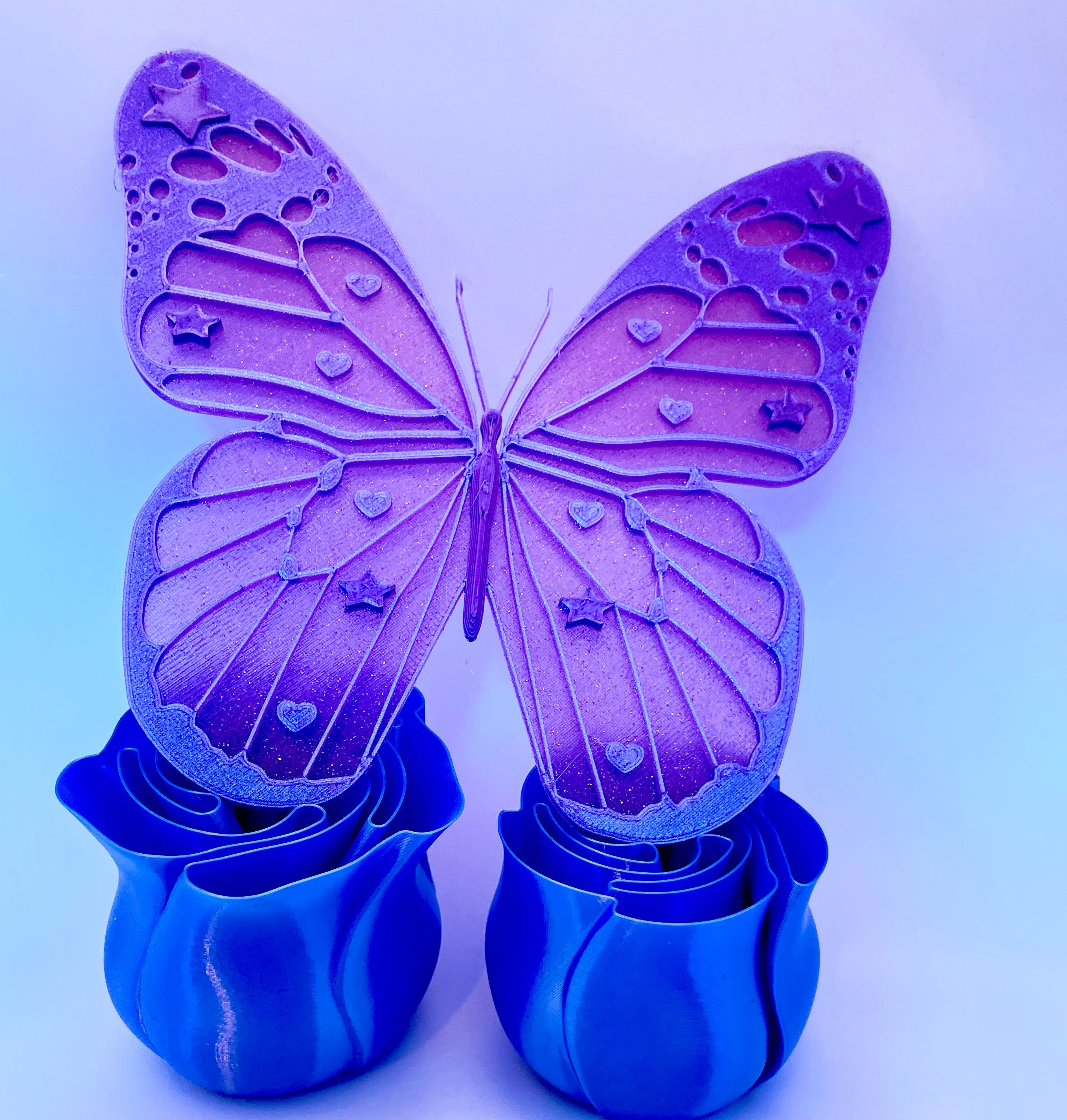 Colourful Butterfly
