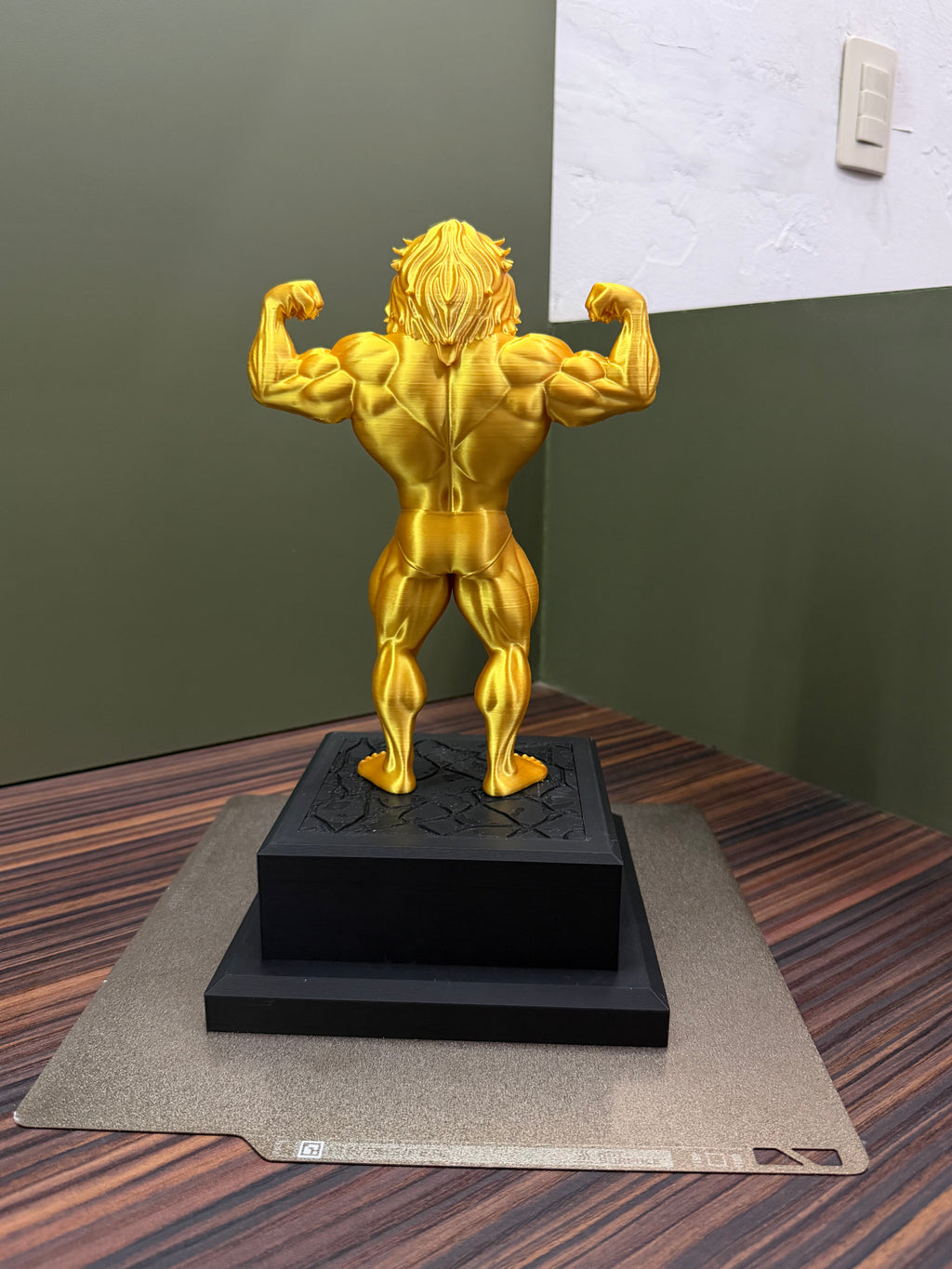 Gym lion throphy
