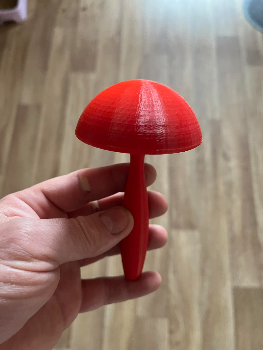 Mushroom for sewing socks, socks