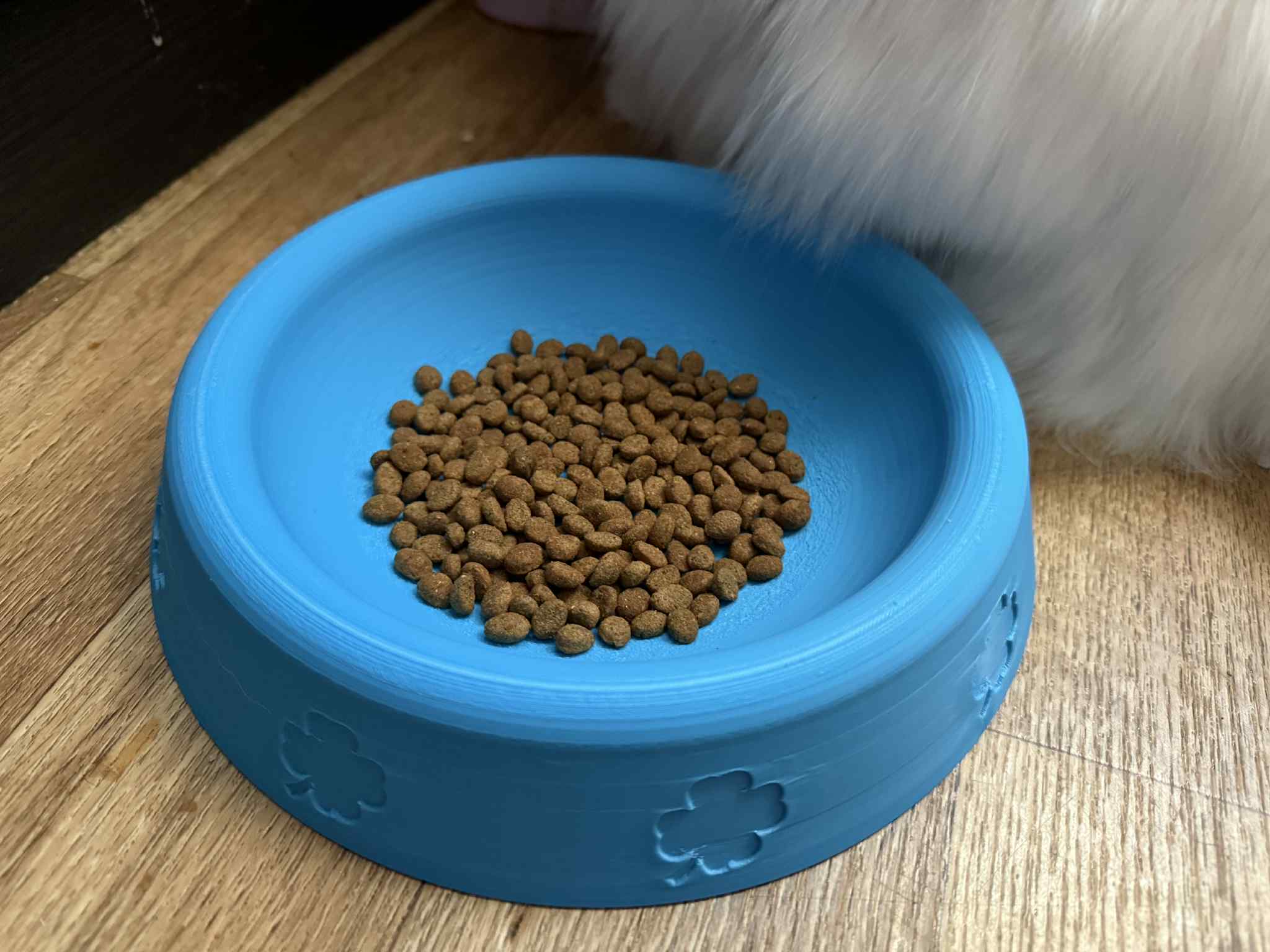 Bowl for pets, cats, dogs