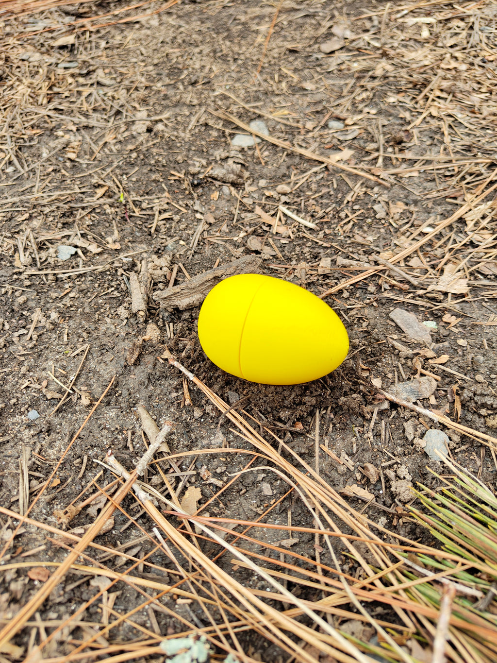 Prank Easter Egg