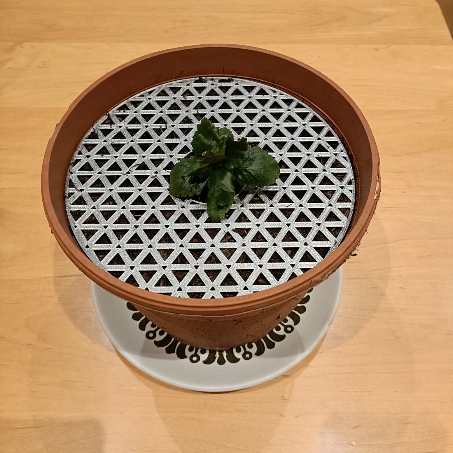 Pet-resistant Plant Protector