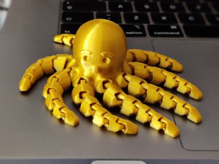 Funny Flexi Octopus