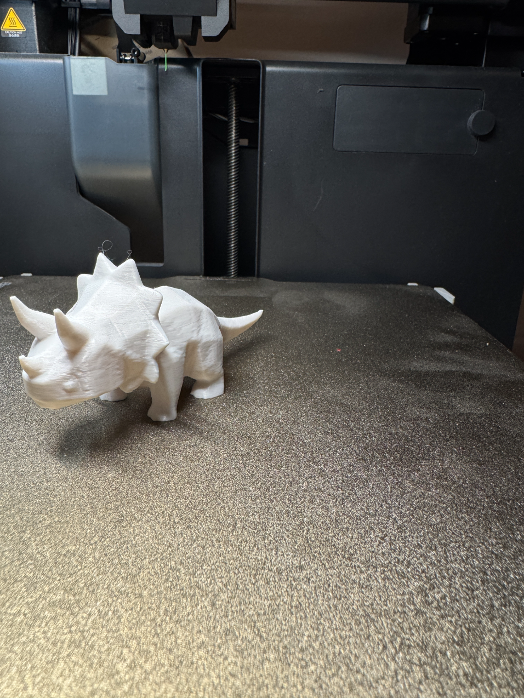 Dinosaur triceratops (free to sell!)