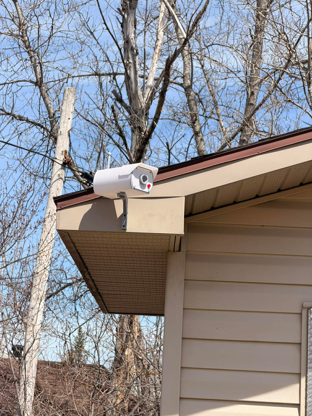 Security Camera Birdhouse