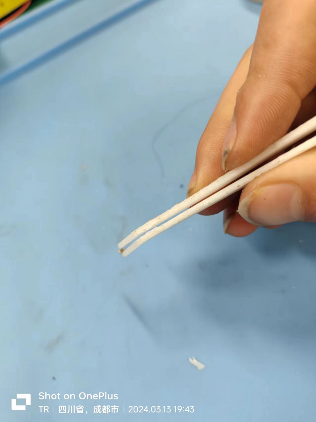 尖头镊子和弯头镊子 Pointed and elbowed tweezers