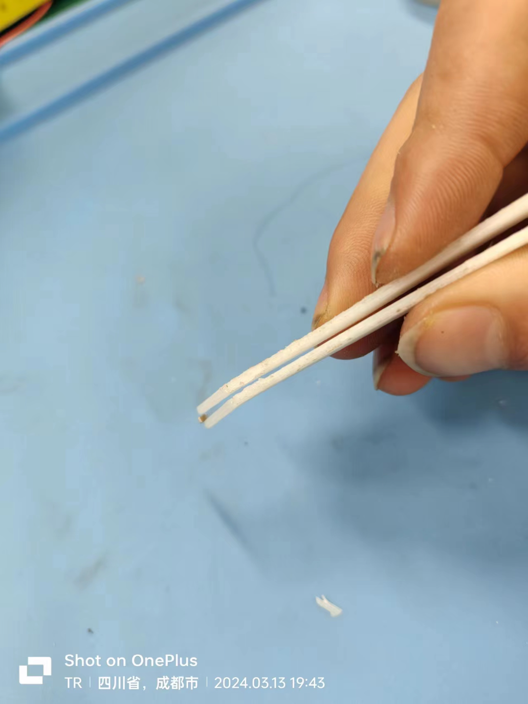 尖头镊子和弯头镊子 Pointed and elbowed tweezers