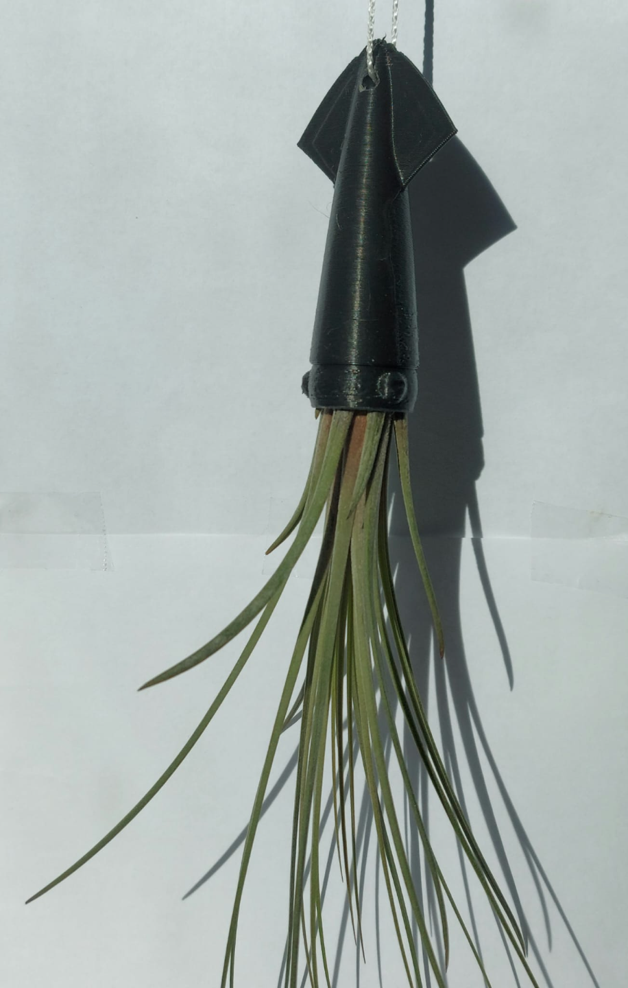 Squid Planter