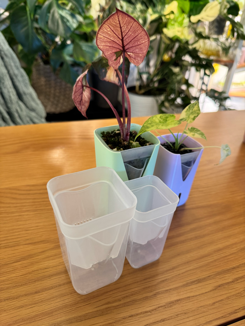Nursery Pot Plant Sleeves