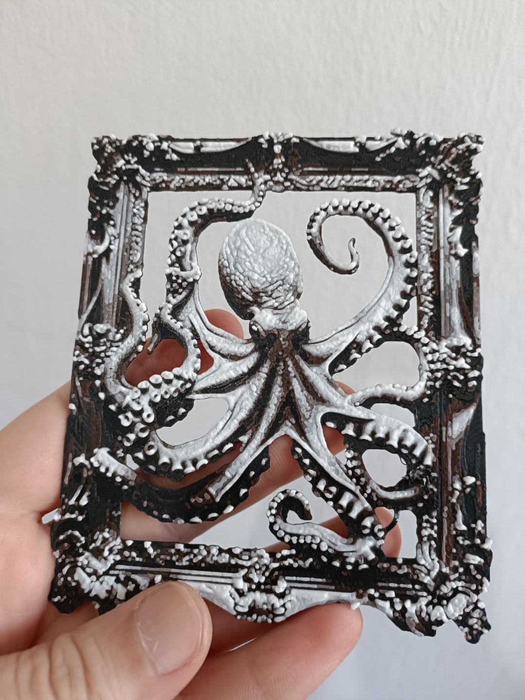 Octopus in Frame