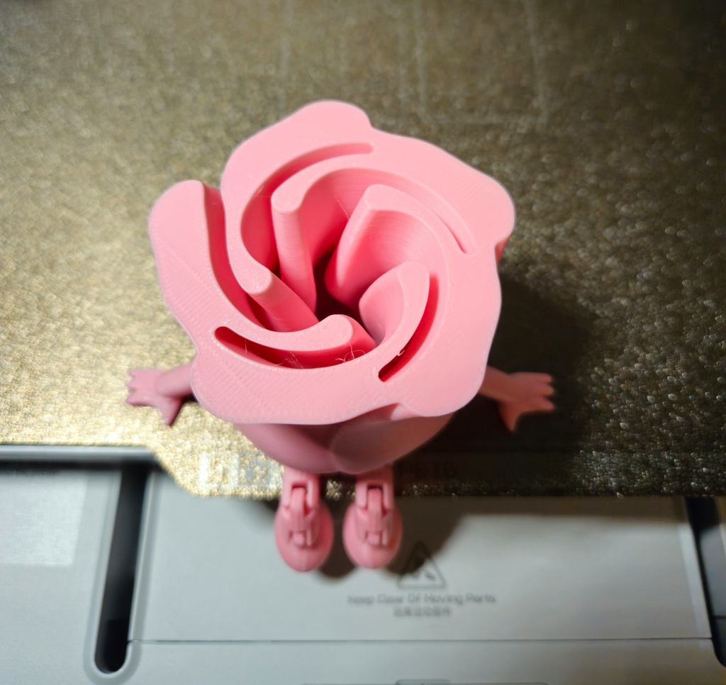 Rose Buddy Articulating