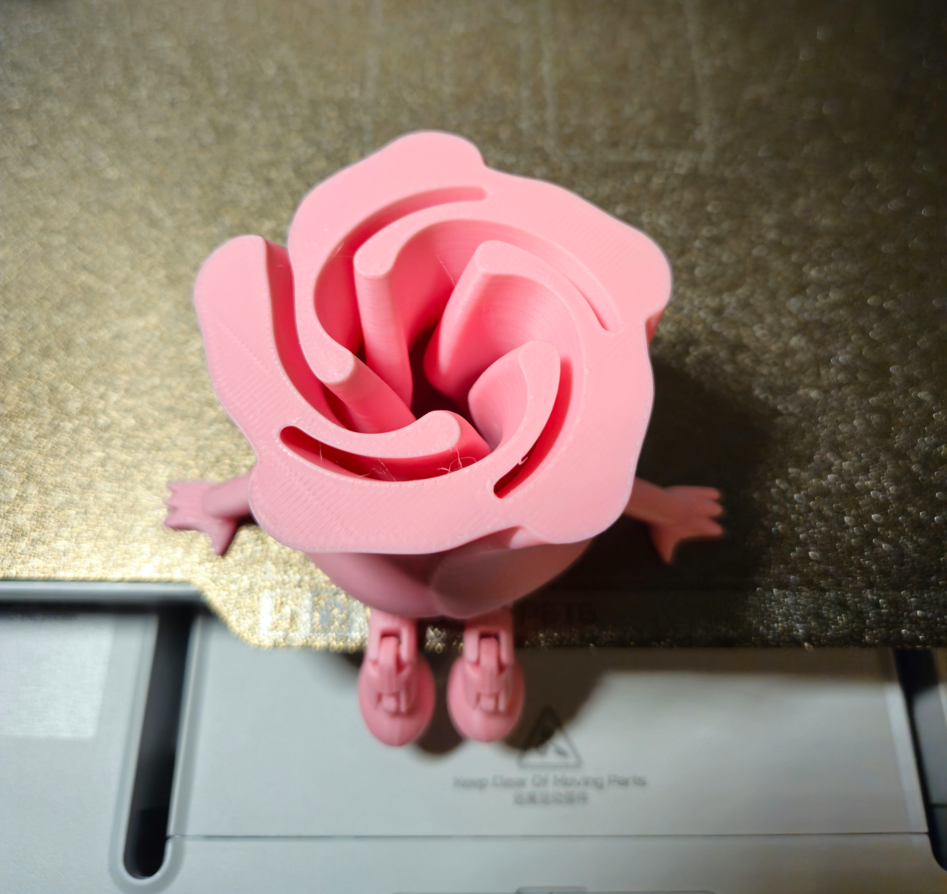 Rose Buddy Articulating