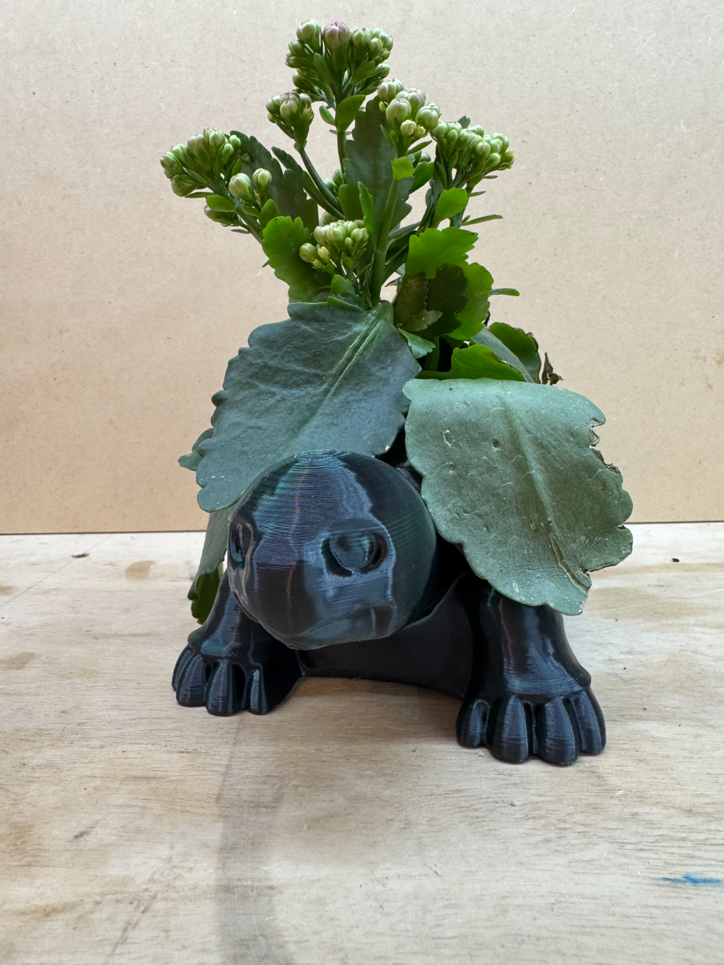 Turtle Planter