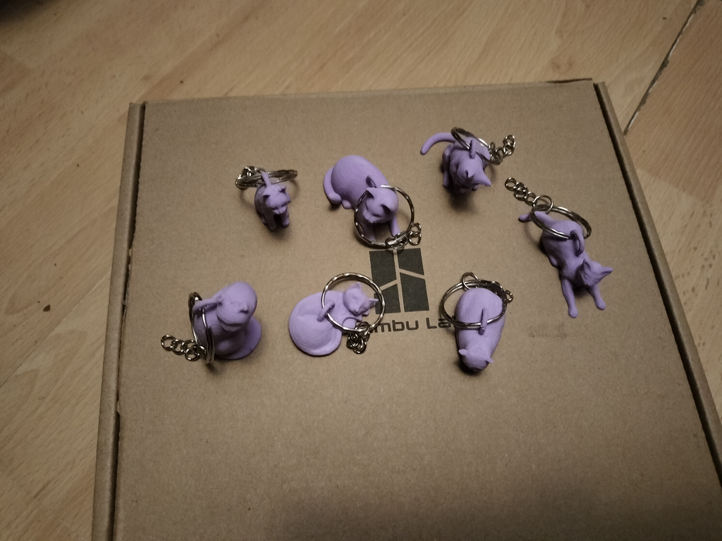 Assorted cat keyrings