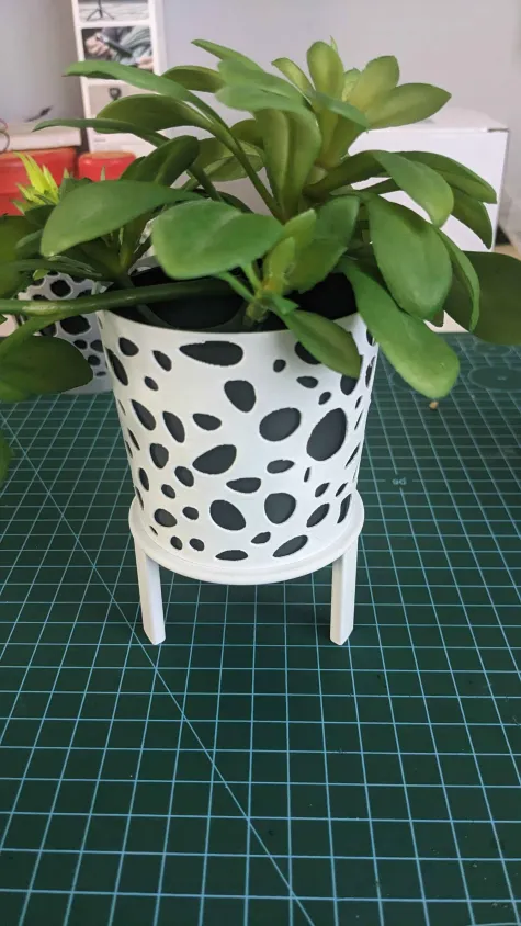 Planter spy cam