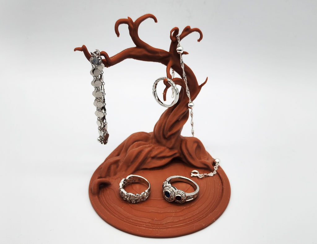 Namibian Acacia Jewelry Tree