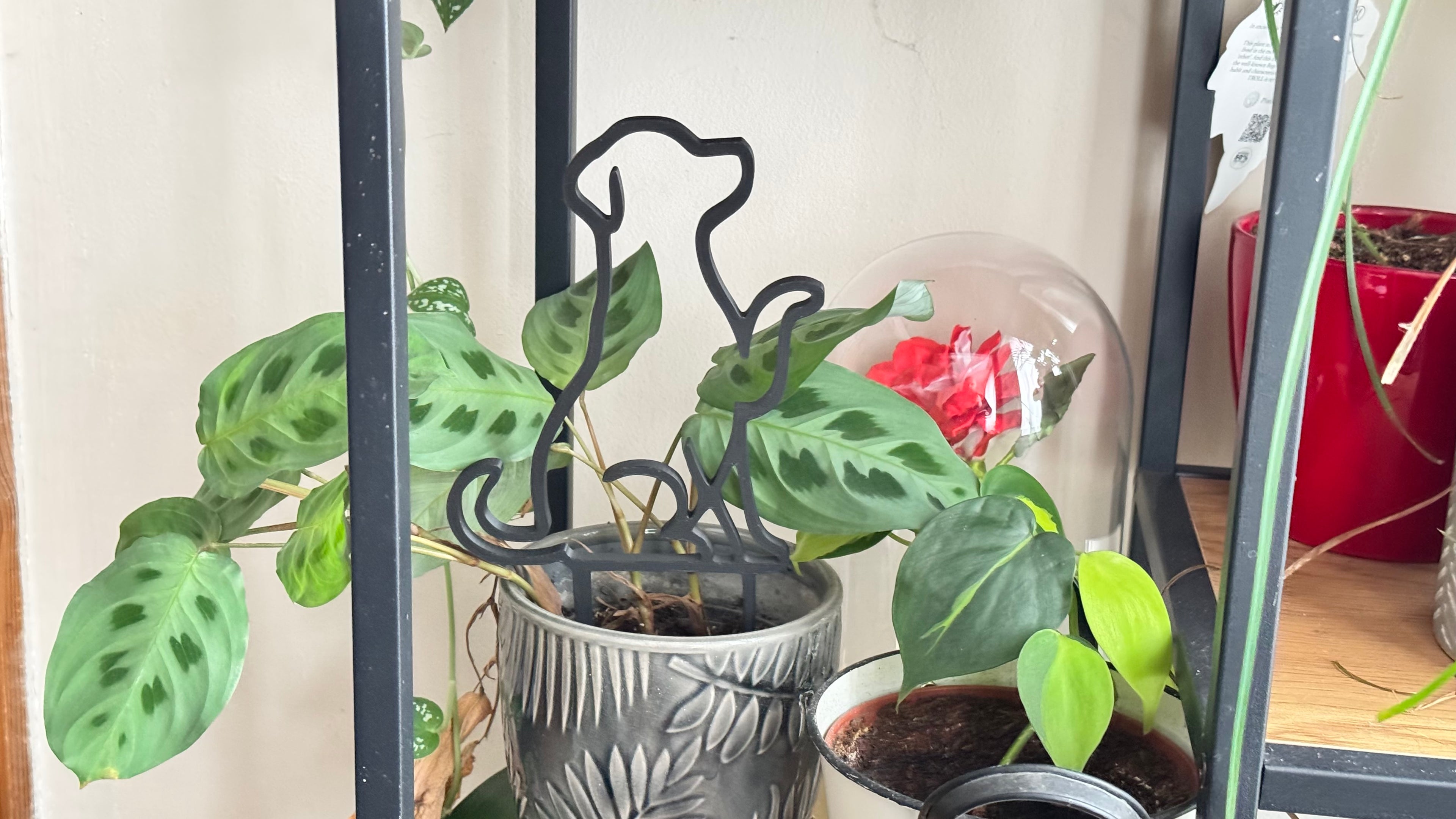 Plant trellis, support, Dog theme