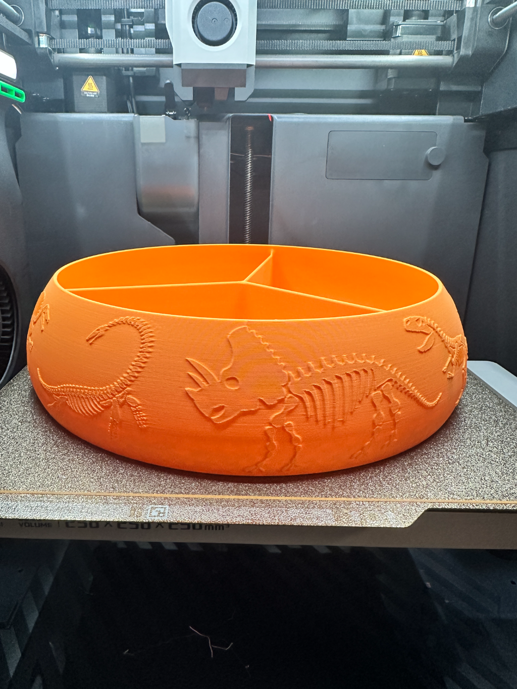 Dinosaur bone catch all snack bowl
