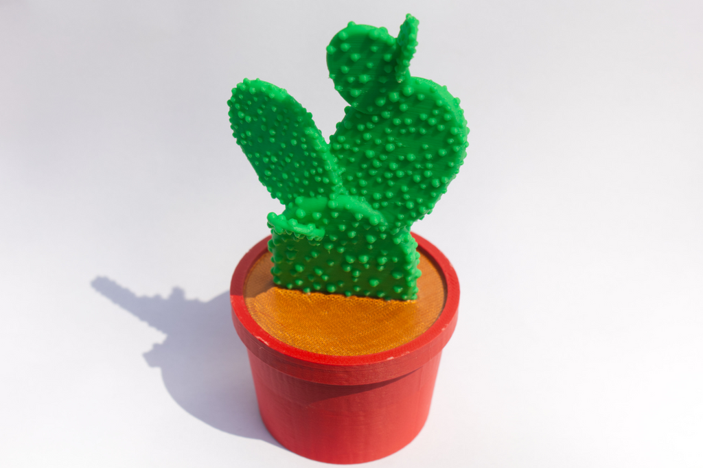 Desktop Cactus Plant, 3-Color print, House Decor