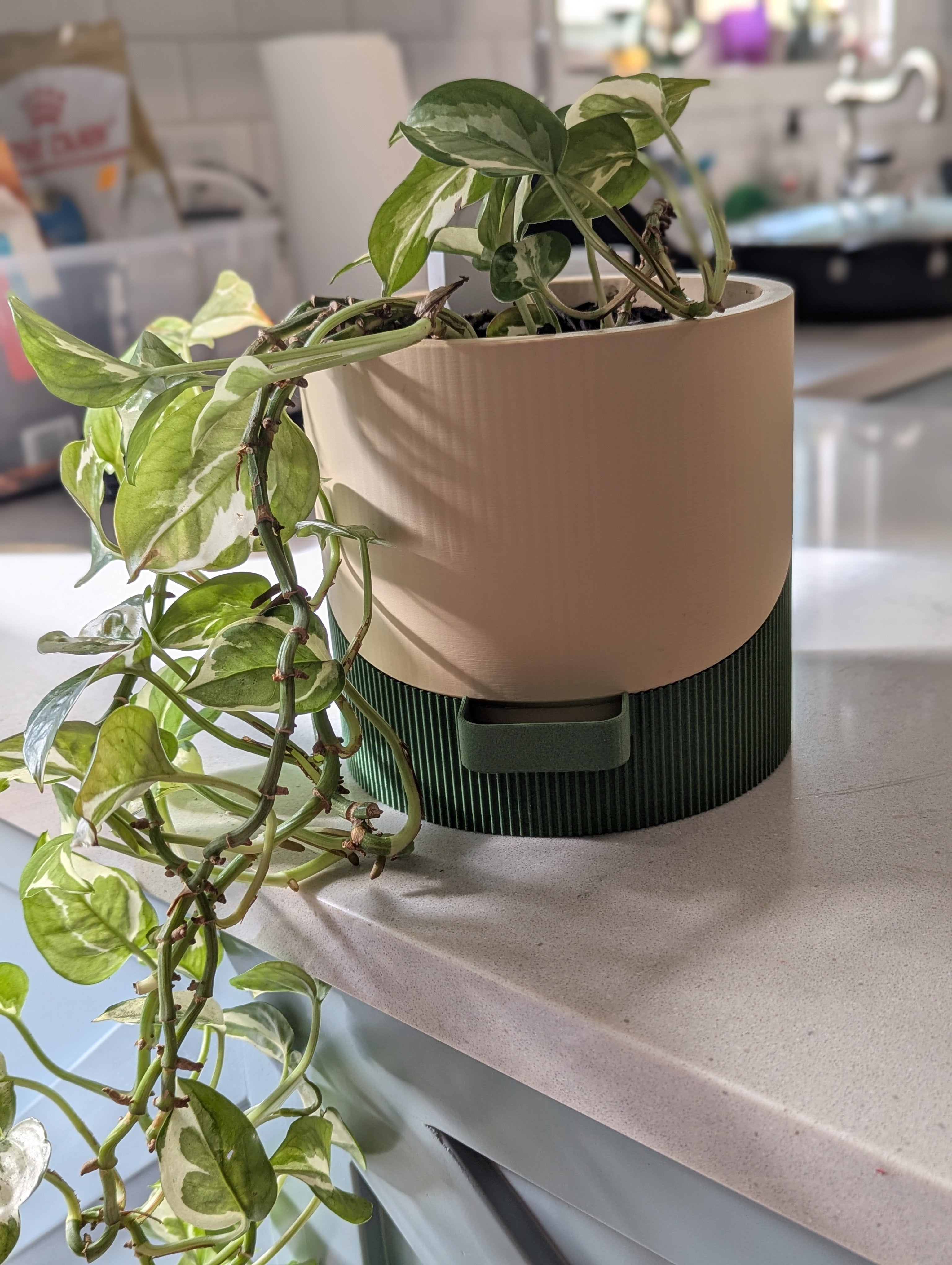 Bottom Watering Indoor Plant Pot
