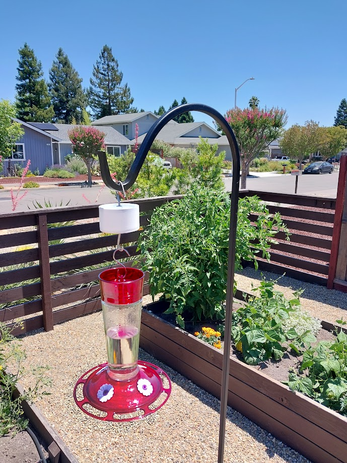 Hummingbird feeder Ant Moat