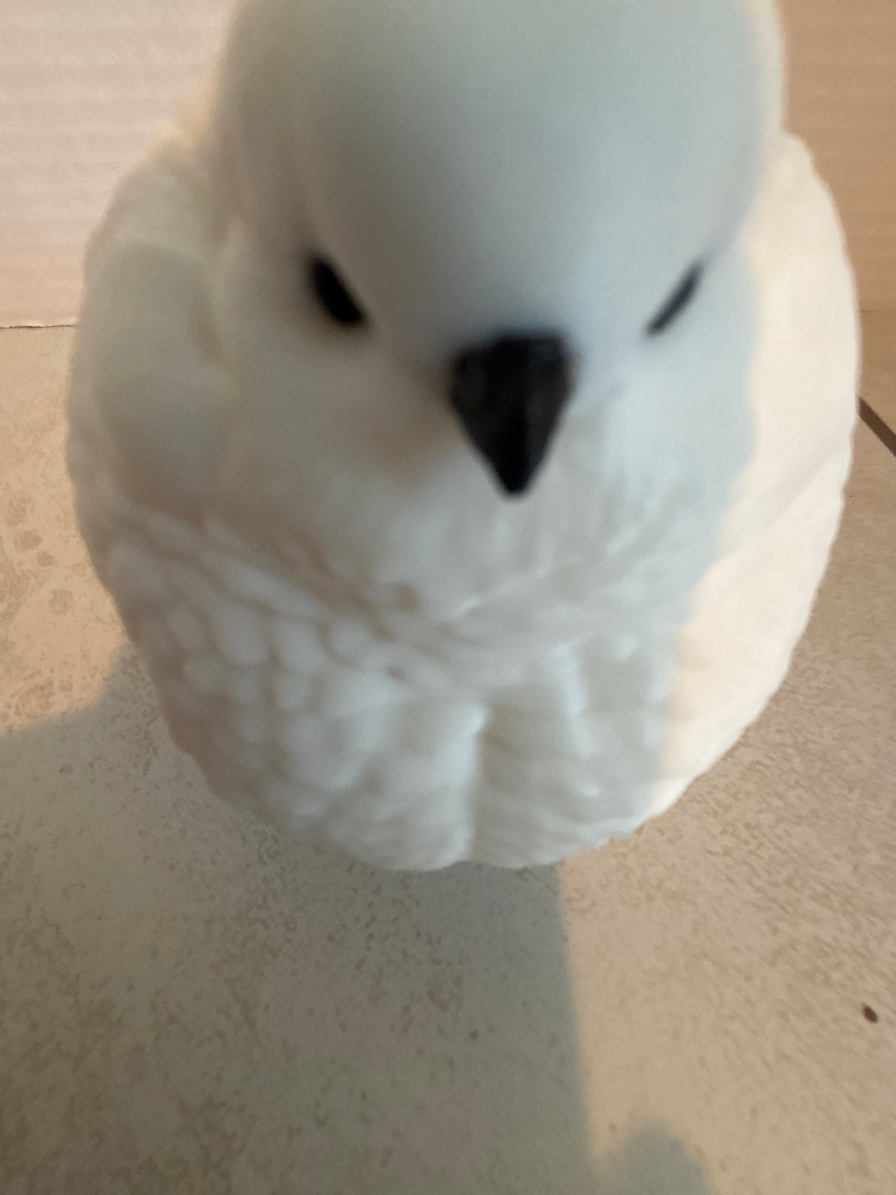 FAT Bird