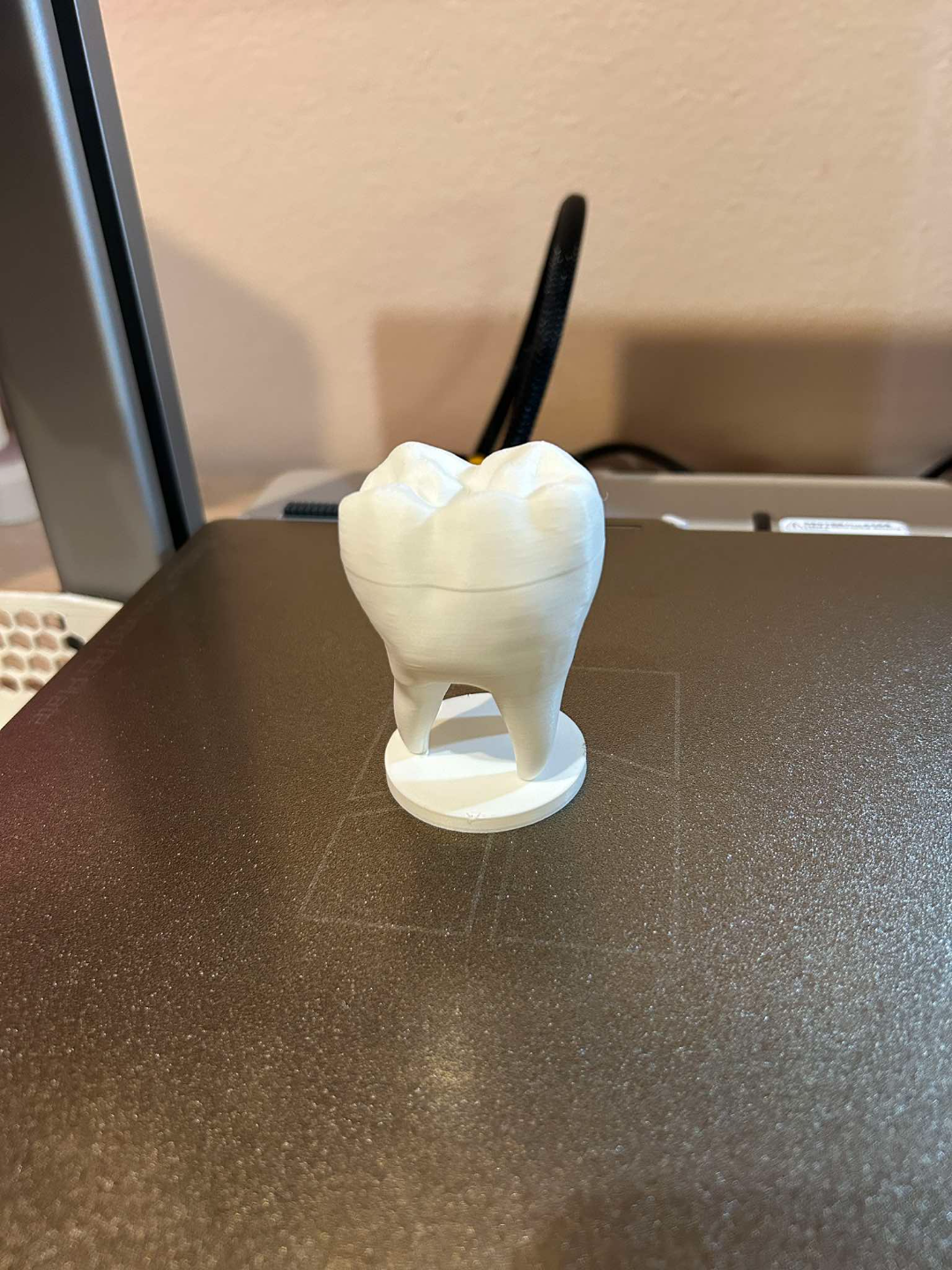 Toothbox, added supports, 0.2mm heigh