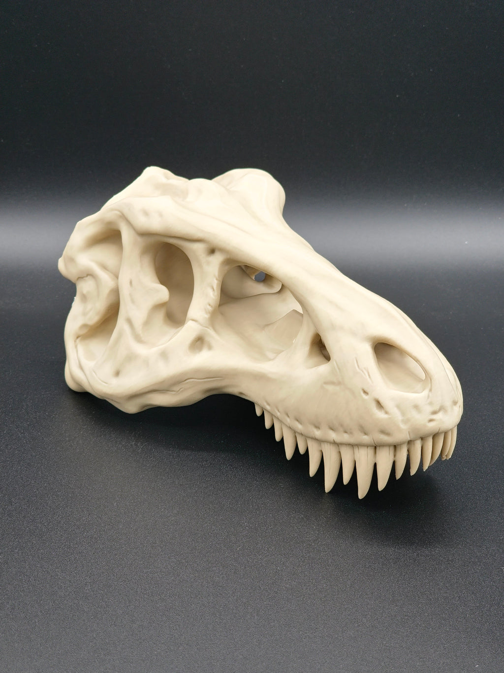 T-Rex Skull