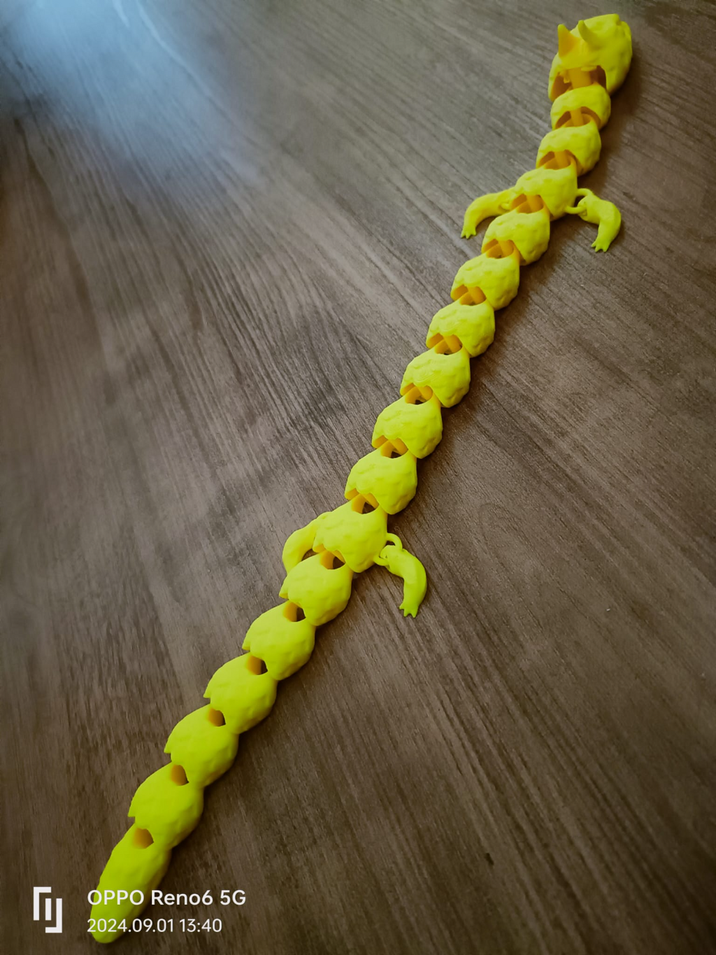 articulated dragon