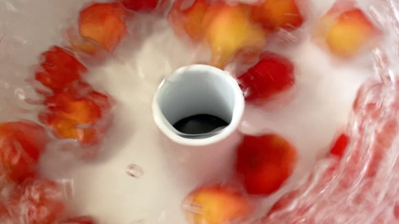 Vortex Fruit Washer (Size L)