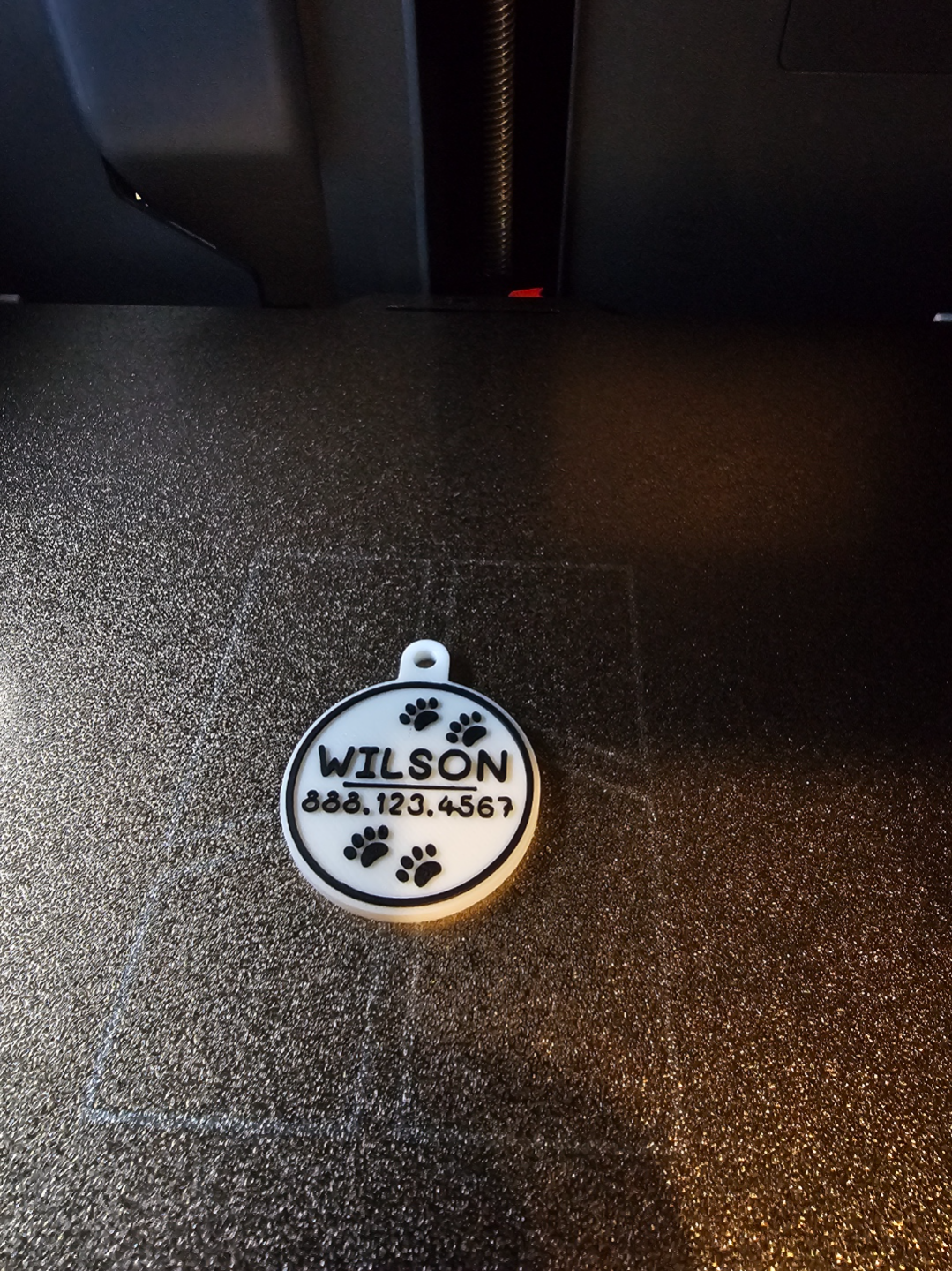 Pet Tag With Name And Phone