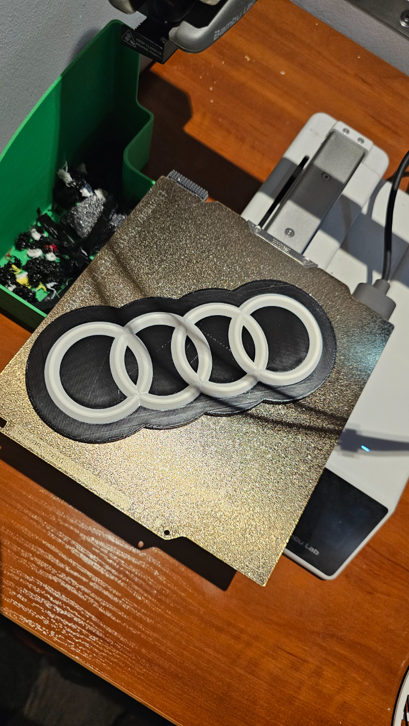 Audi key holder no ams